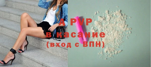 гидра Губаха