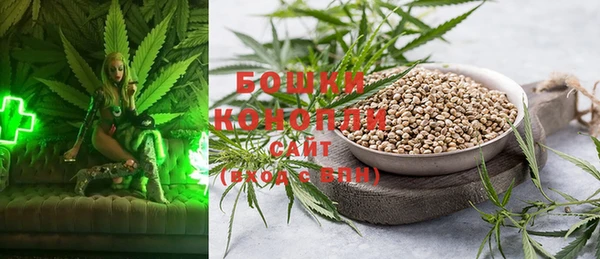 apvp Осинники