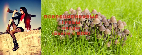 ПСИЛОЦИБИНОВЫЕ ГРИБЫ Грязи