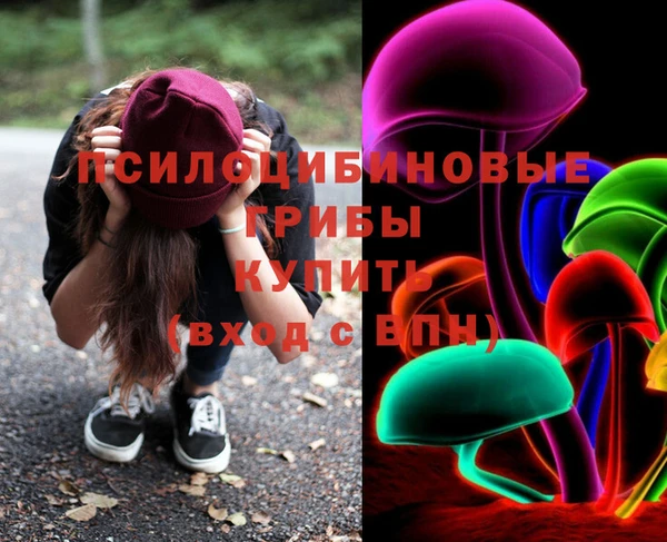 apvp Осинники