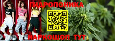 сатива Гусев