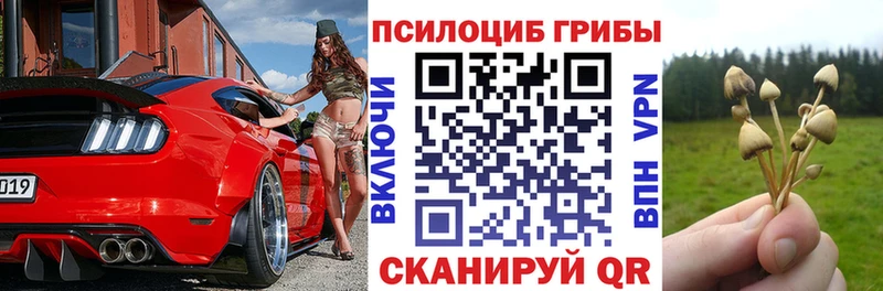 Псилоцибиновые грибы GOLDEN TEACHER Корсаков