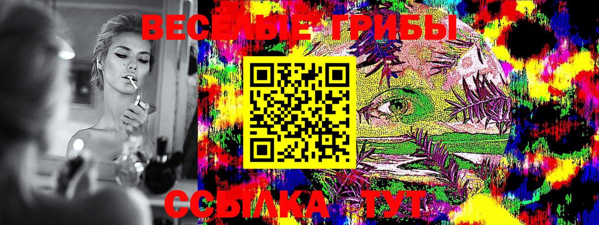 Галлюциногенные грибы мицелий  Вход с VPN  Корсаков 